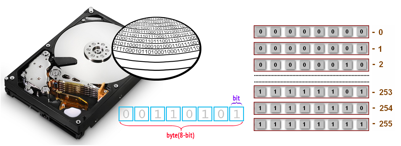 накопитель информации, биты, байты
